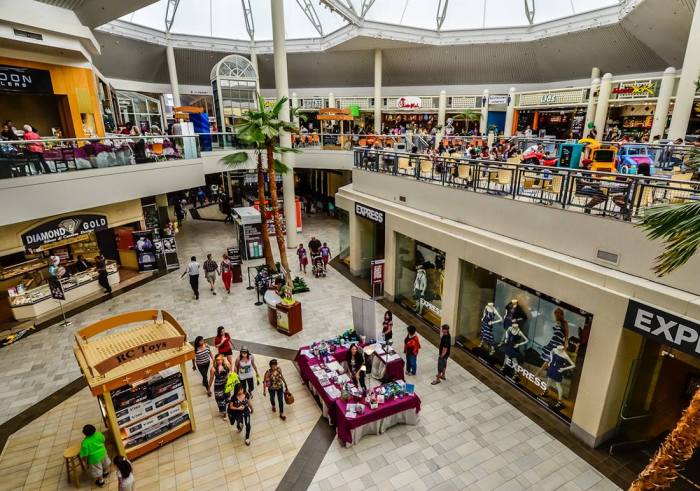 Bluey at rolling oaks mall