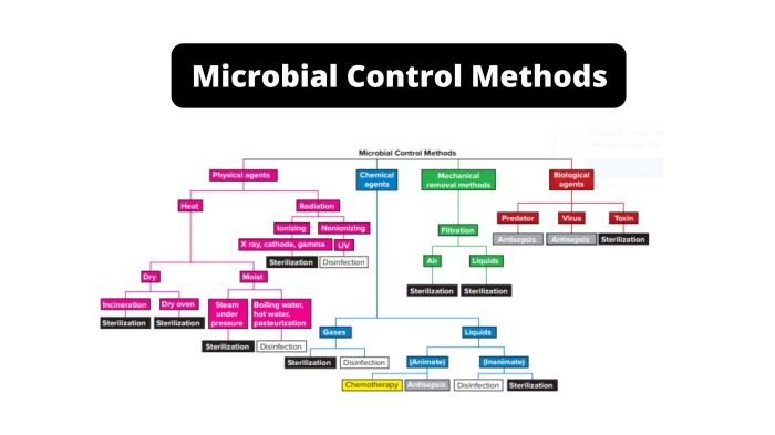 Microbial control methods that kill ______ are able to sterilize.